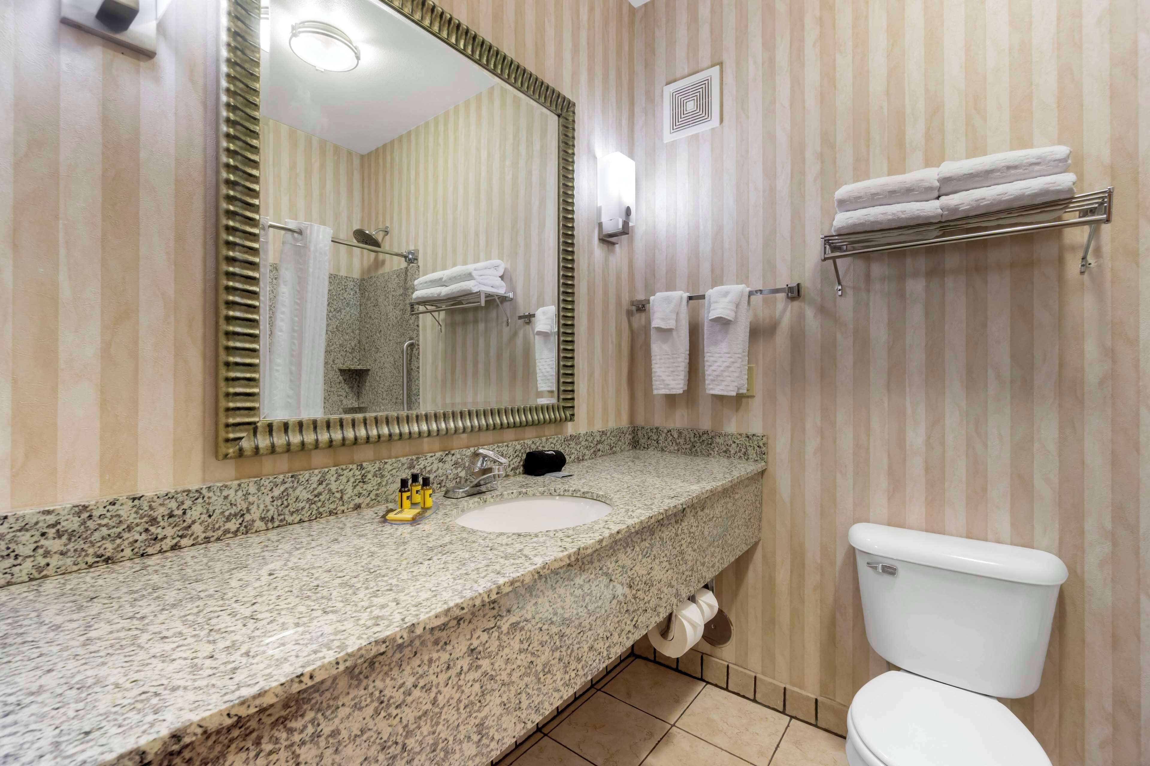 Une salle de bain avec un comptoir en granit, un lavabo, un miroir, des toilettes et des porte-serviettes.