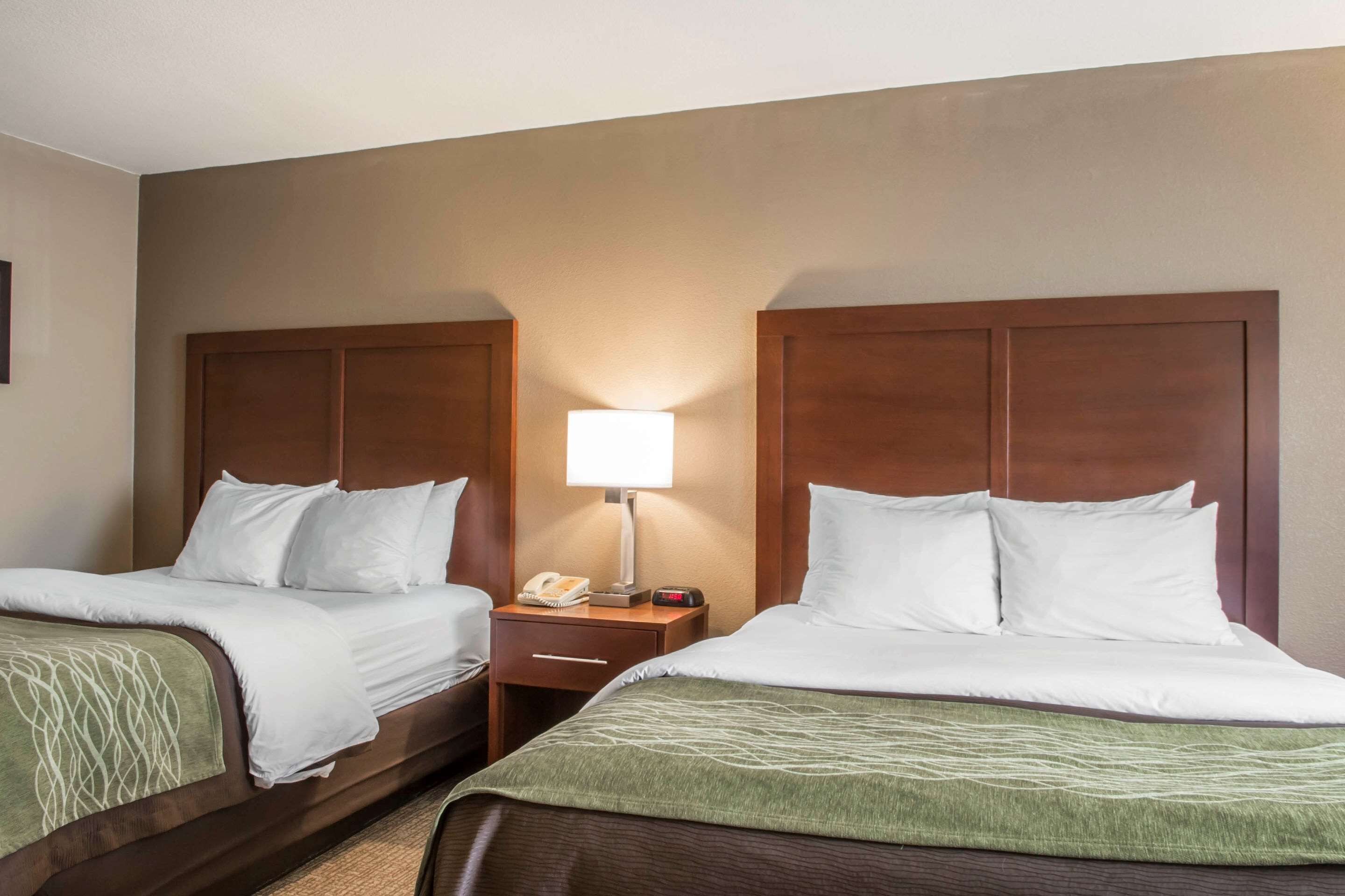 Habitación de hotel con dos camas, cada una con ropa de cama blanca y una manta verde. Entre las camas, una mesita de noche con una lámpara y un teléfono.