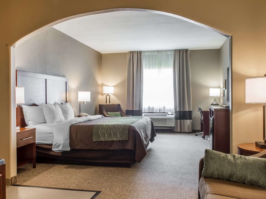 Standard Room, 1 King Bed, Non Smoking | Desk, laptop workspace, iron/ironing board, free cribs/infant beds