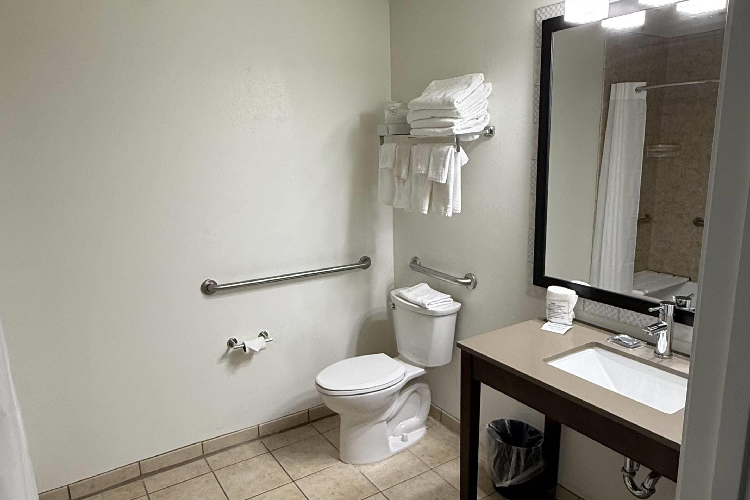 A bathroom with a toilet, sink, mirror, and handrails.