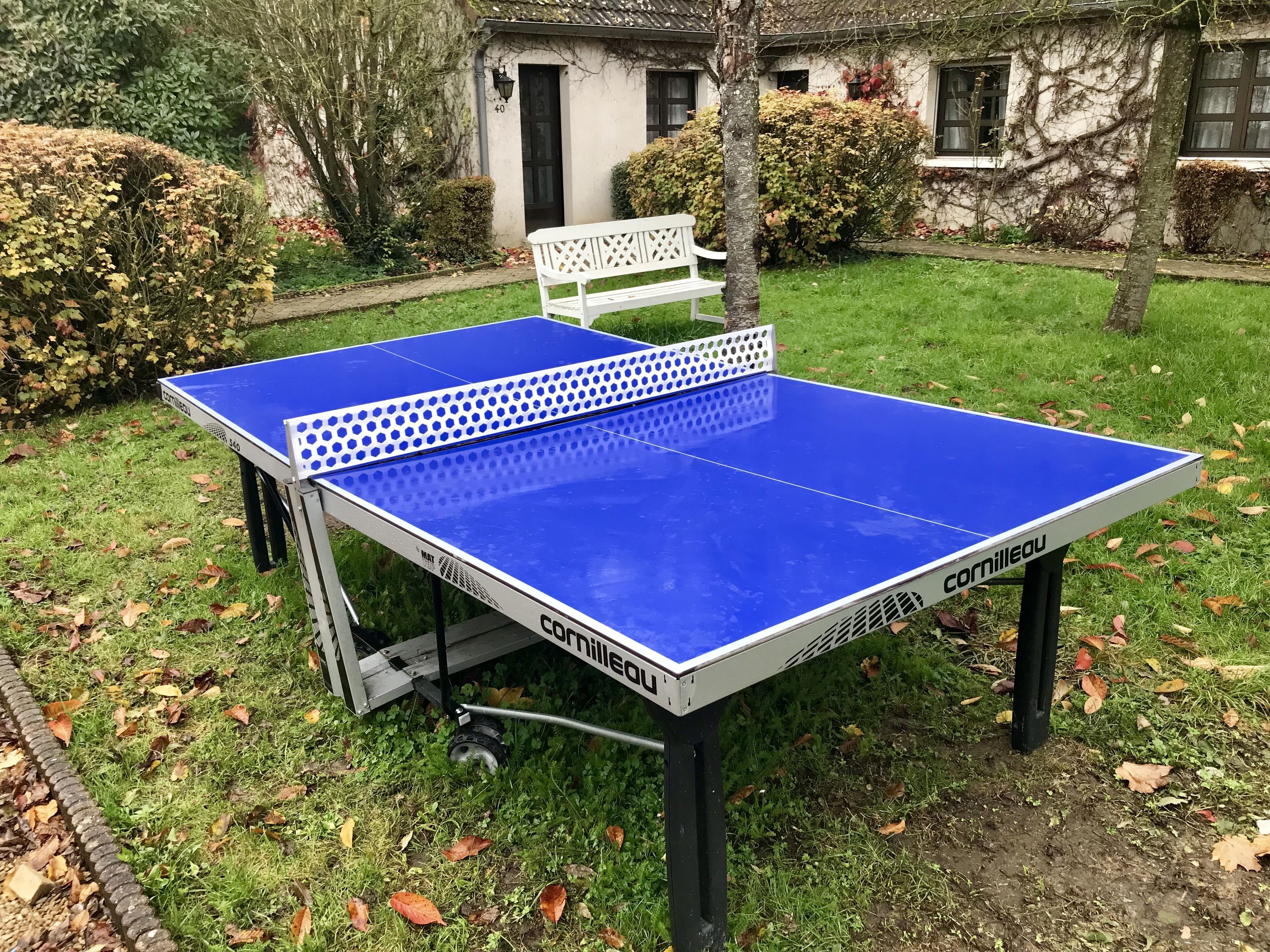 A blue table tennis table with a white net in a grassy outdoor area.