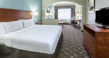 Holiday Inn Express Hotel & Suites Lake Charles by IHG