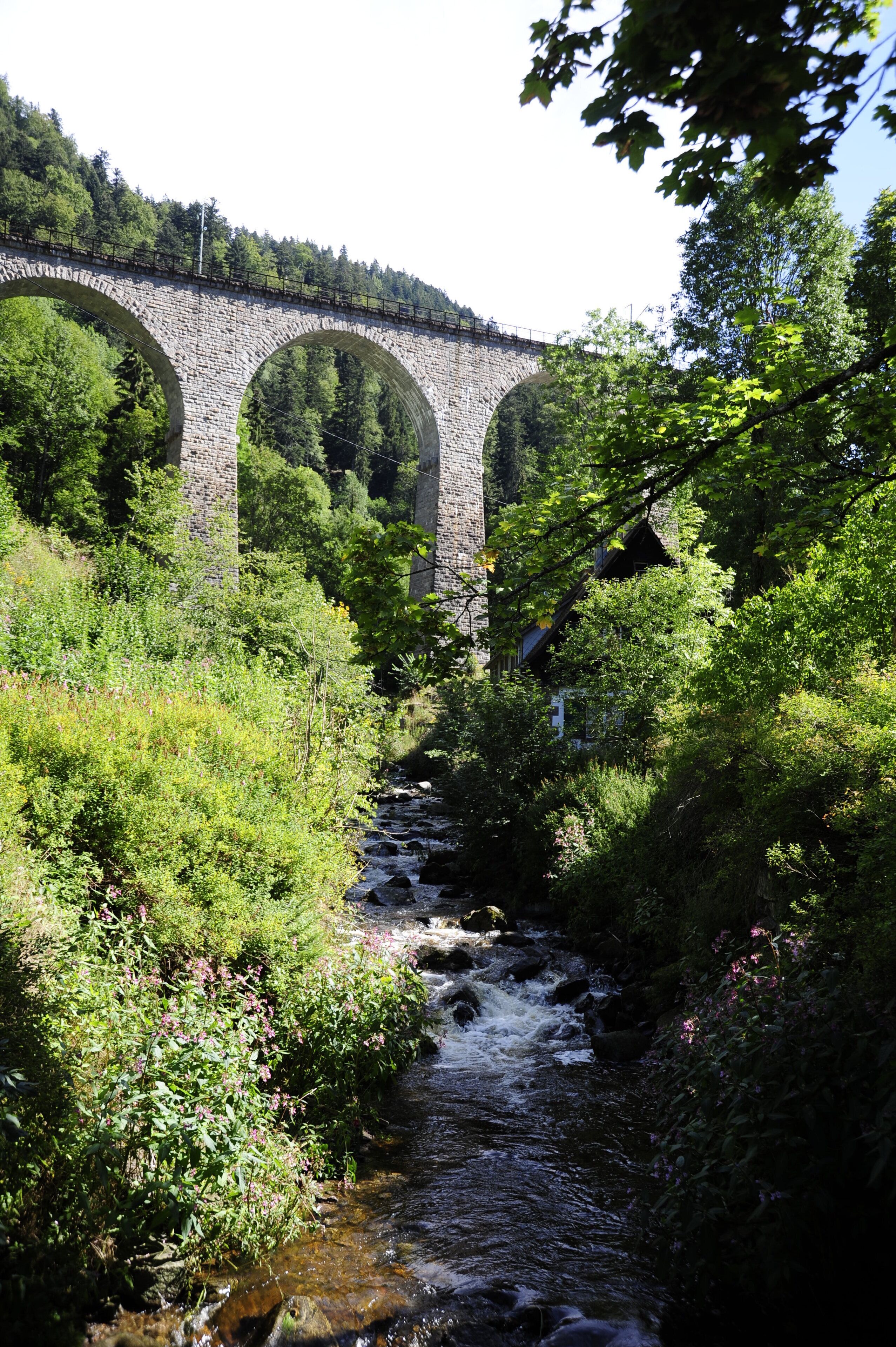 land view from property