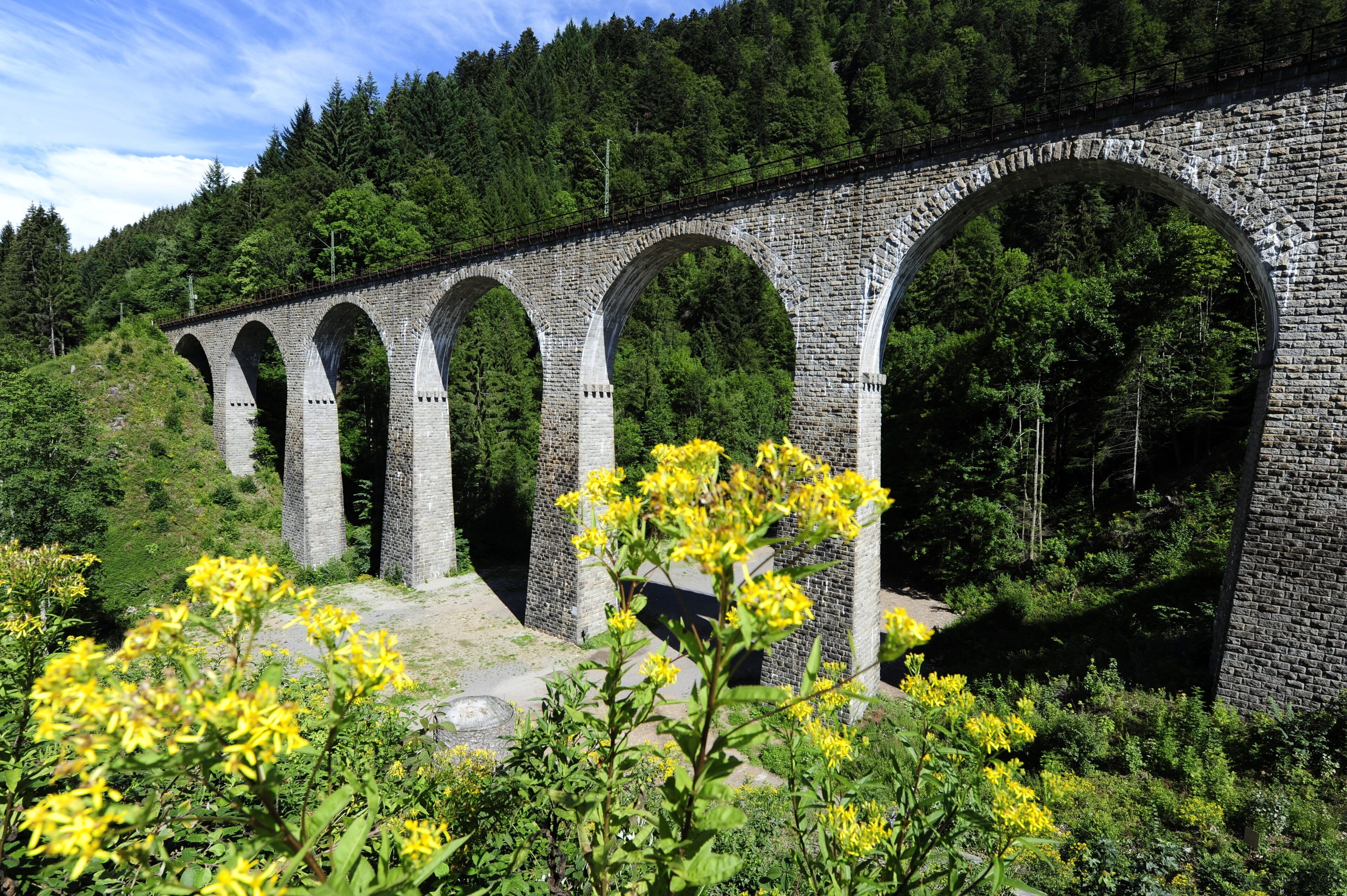 land view from property