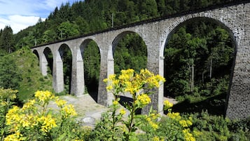 Un viaducto de piedra con múltiples arcos, rodeado de follaje y flores amarillas.