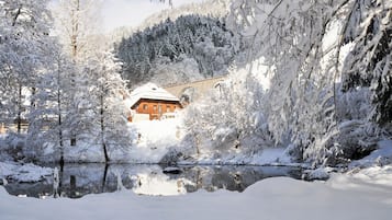 Paisaje nevado con un edificio rodeado de árboles y una masa de agua.