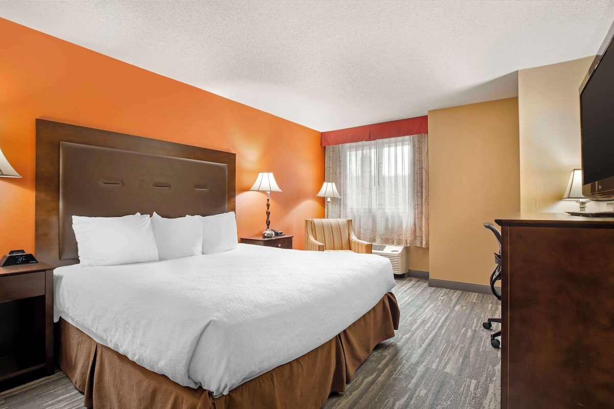 standard room, 1 king bed, non smoking, refrigerator & microwave | desk, blackout curtains, iron/ironing board, free cots/infant beds