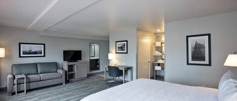 Una habitación de hotel con una cama grande, un sofá, un escritorio y un televisor.