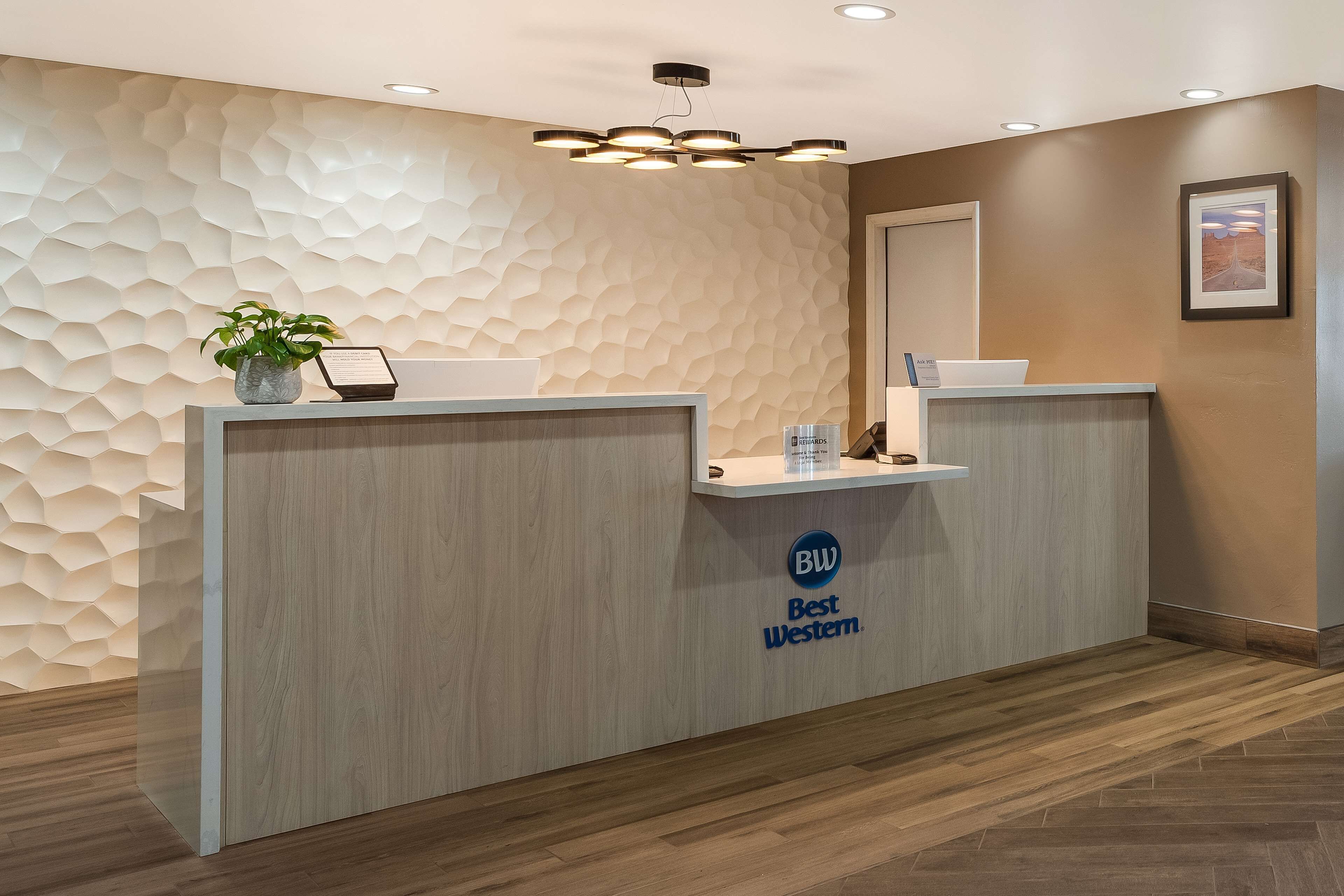 A reception desk with a modern design, a logo on the wall, and a potted plant.