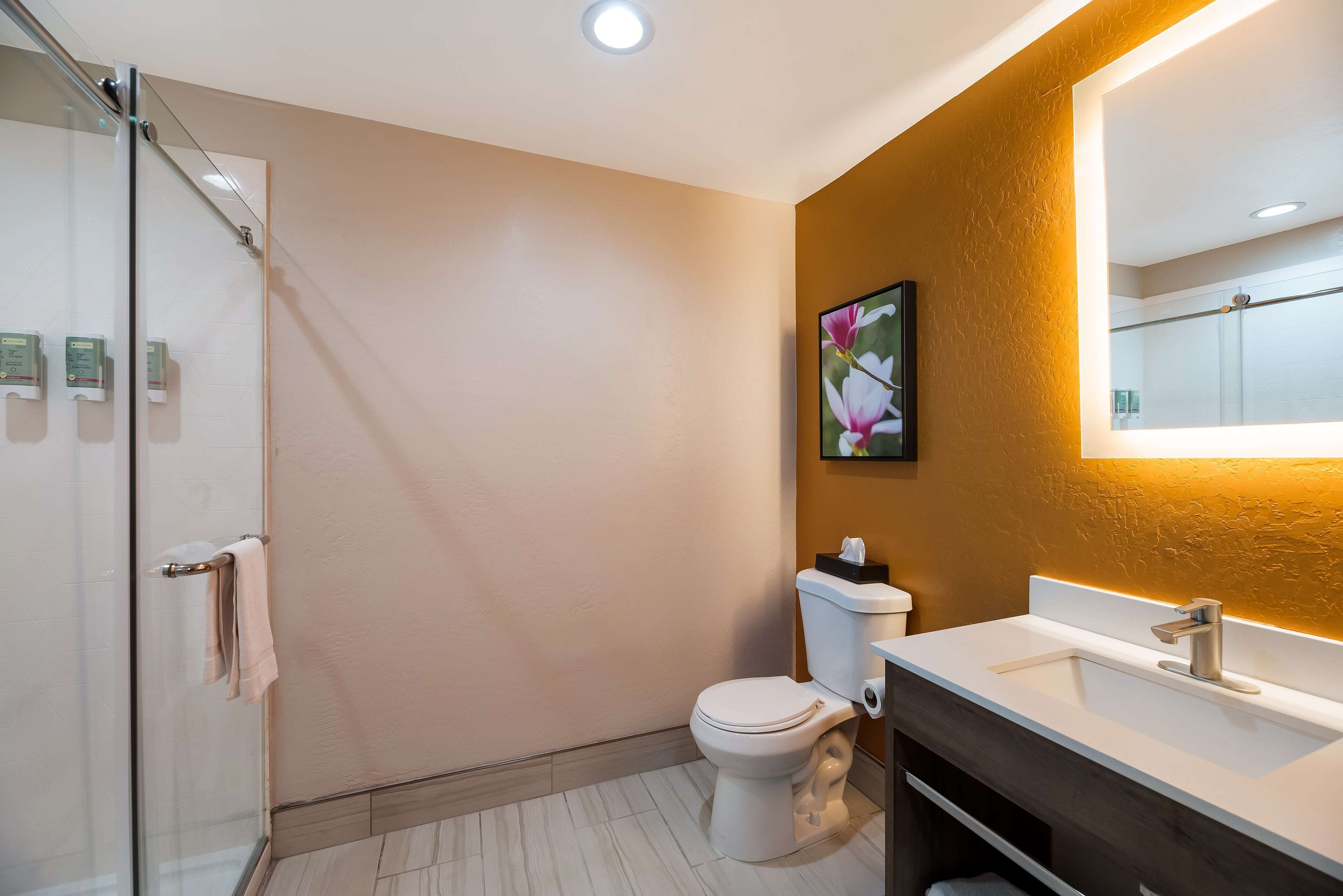Un bagno con box doccia in vetro, un water e un lavabo con specchio.