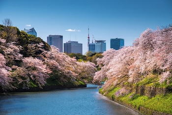 Four Seasons Hotel Tokyo at Marunouchi