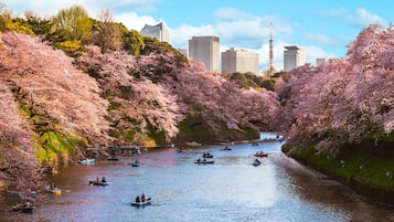 住宿城景