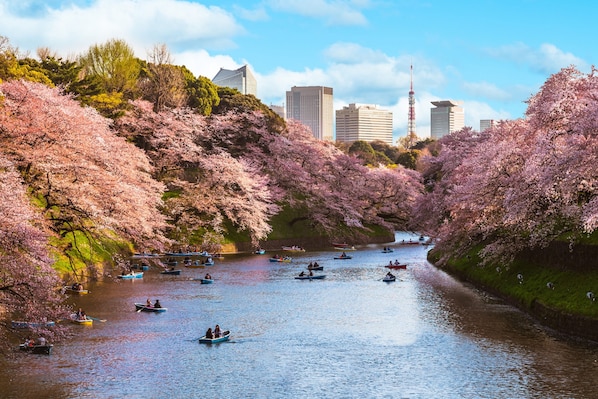 住宿城景