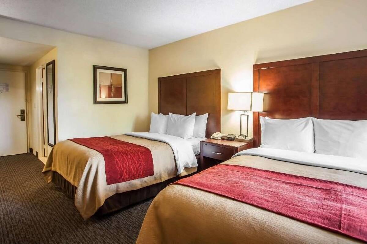 A hotel room with two beds, a wooden headboard, a bedside table with a lamp, and a framed picture on the wall.