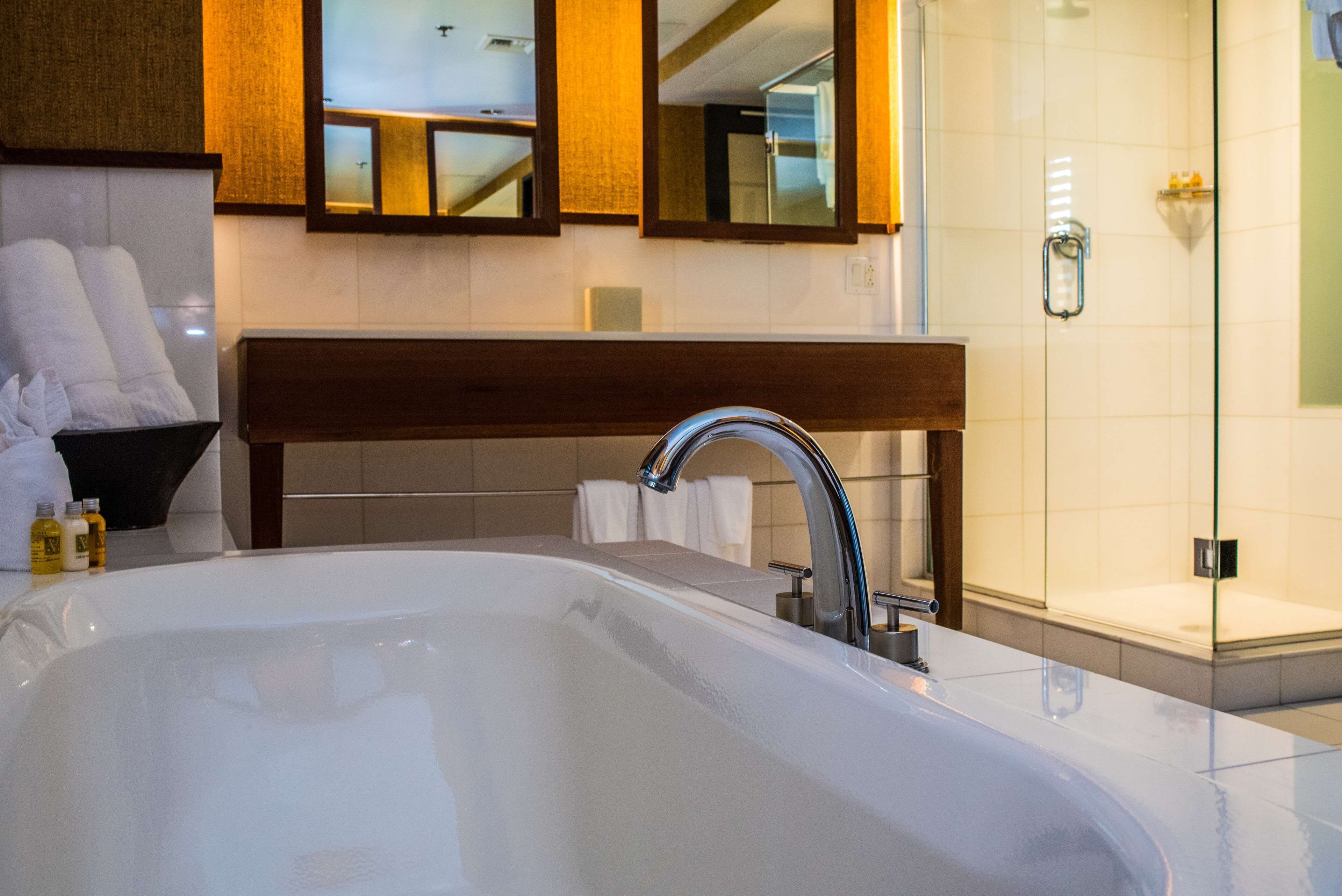 combined shower/bathtub, designer toiletries, hair dryer, bathrobes