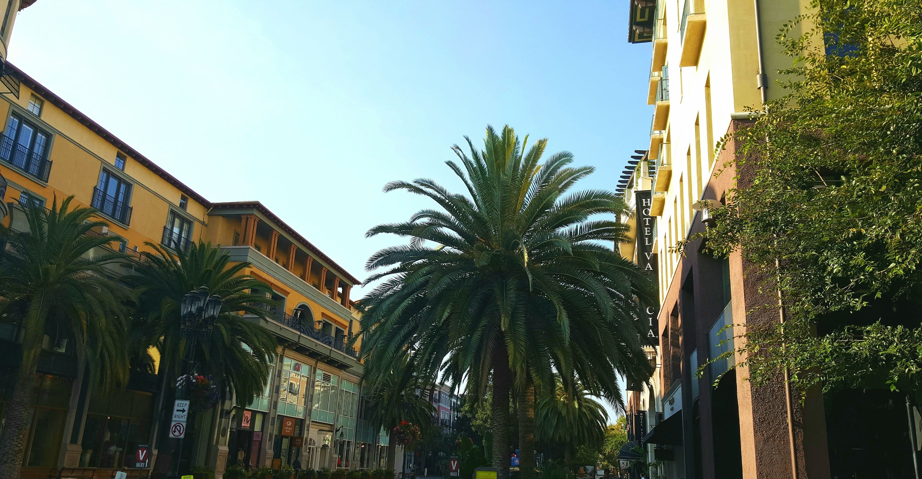 Un hotel con balcón, palmeras y cielo despejado.