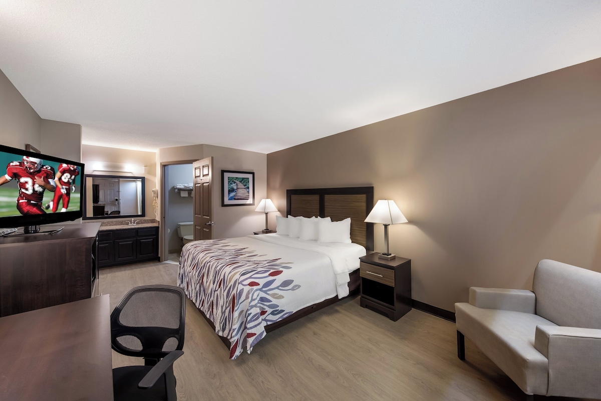 A hotel room with a bed, a desk, a TV, a chair, and a couch.