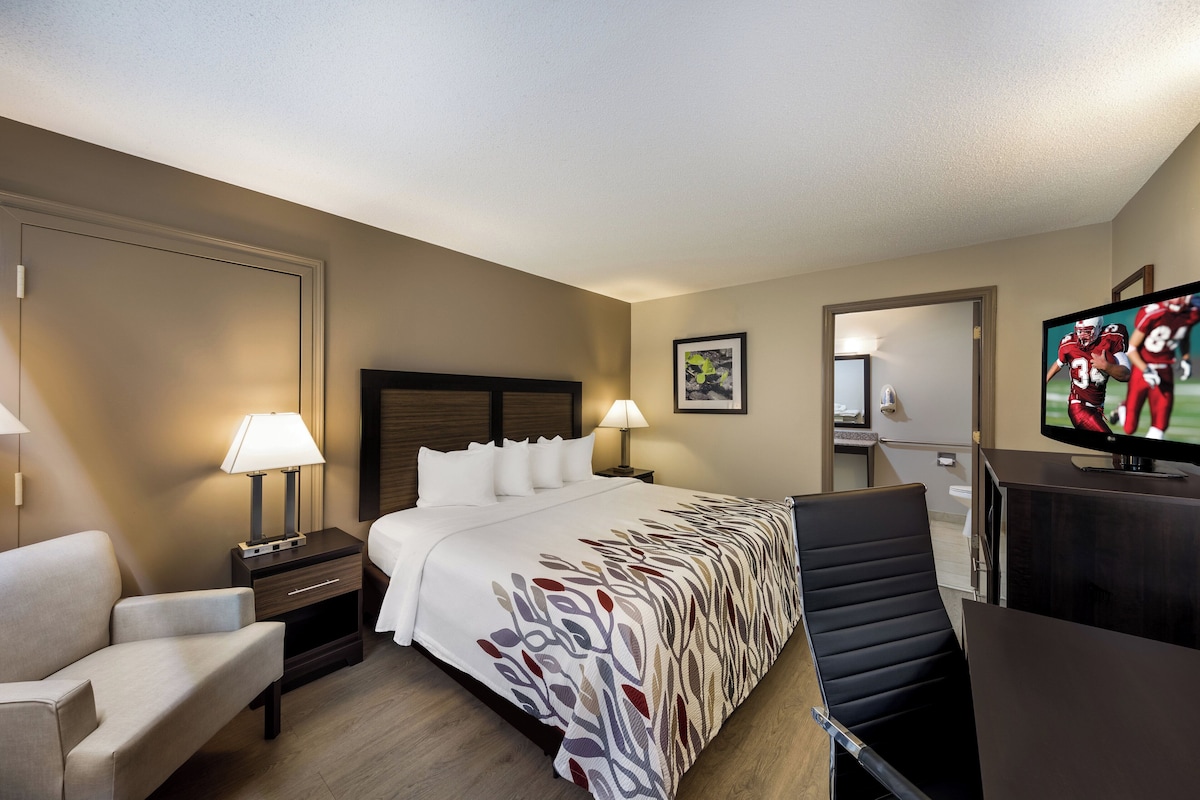 A hotel room with a bed, a desk, a chair, a TV, and a lamp.