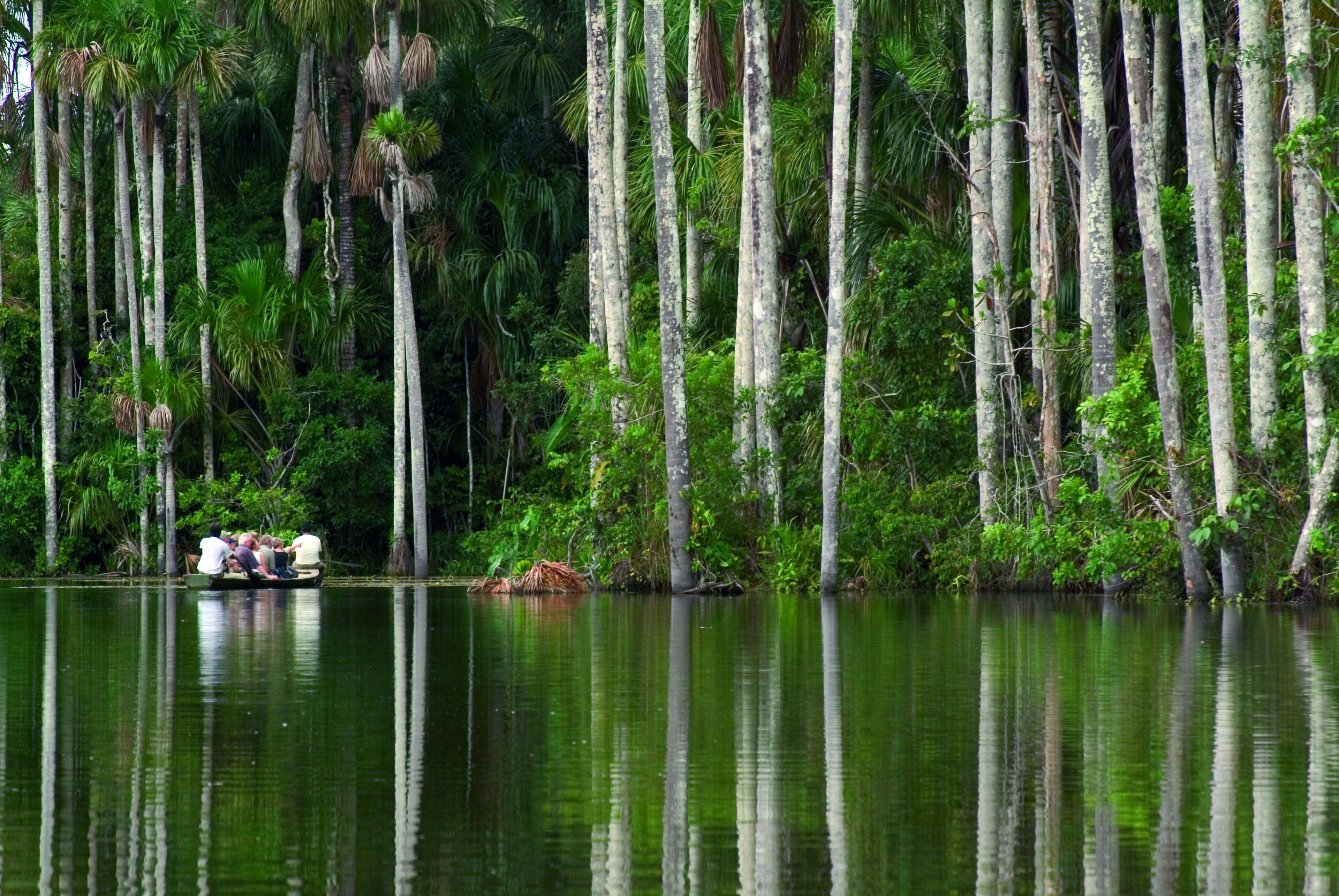 A calm river with tall trees and a small boat with people.