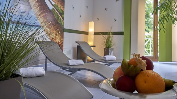 Quarto com mesa de jantar posta com frutas, uma planta em vaso e uma parede com um mural de aves.