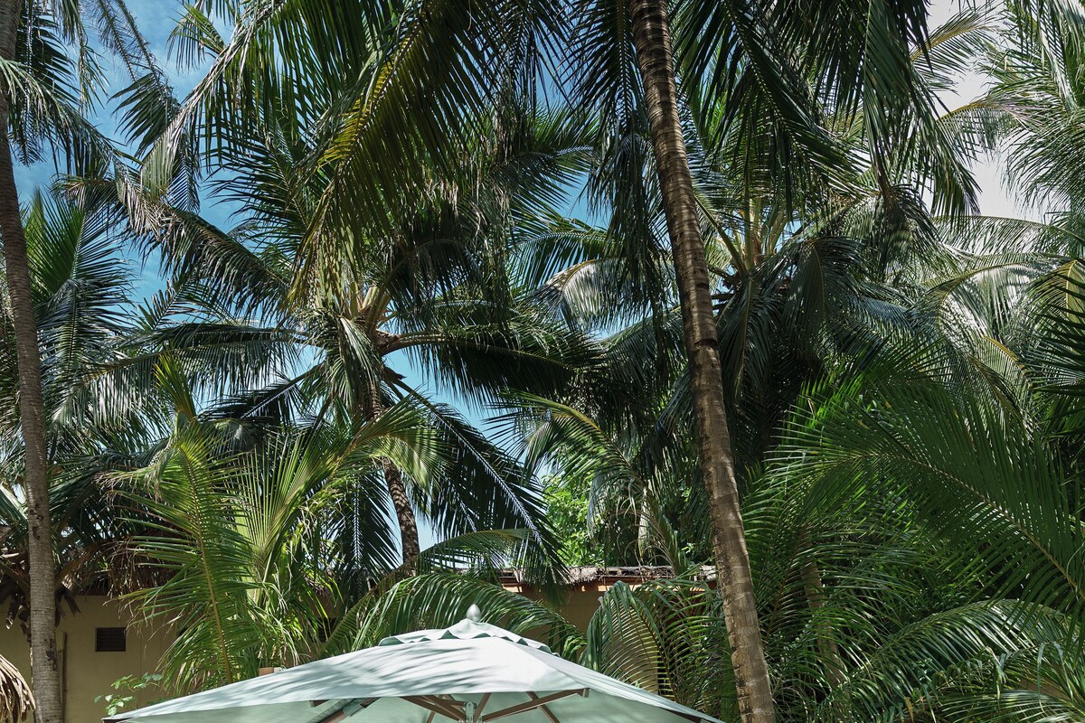 Un espace aménagé avec des sièges au bord de la piscine, offrant une vue sur des palmiers et un mur blanc.