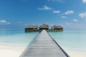 Couples treatment room(s), sauna, steam room
