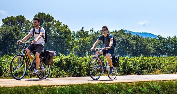 Two people riding bicycles on a paved path with greenery and trees in the background.