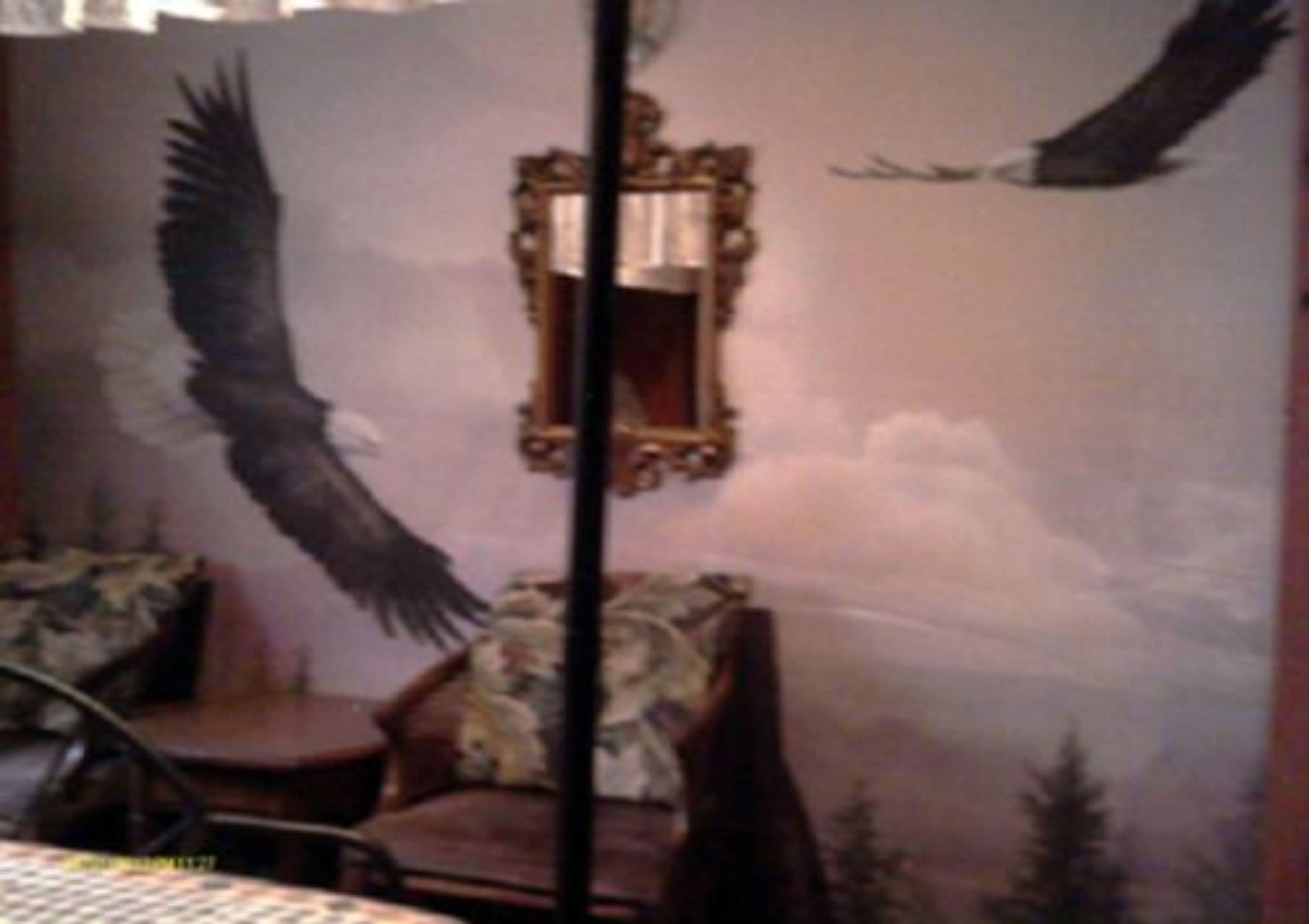 Quarto com um grande mural de águias em voo, um espelho e uma cadeira.
