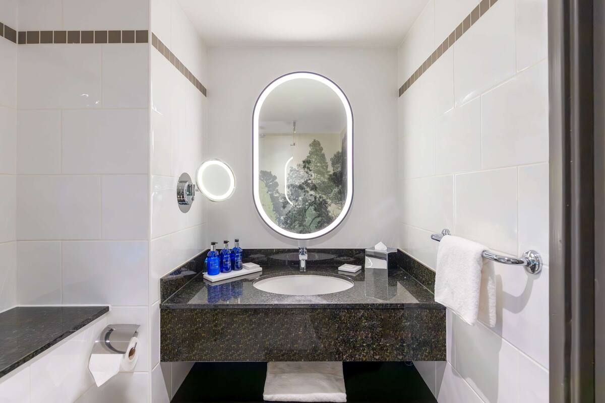 standard room | bathroom | combined shower/bathtub, free toiletries, hair dryer, towels