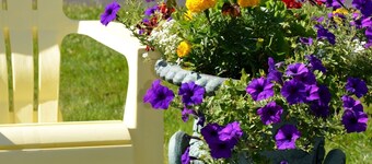 Shorelands Guest Resort and Cottages