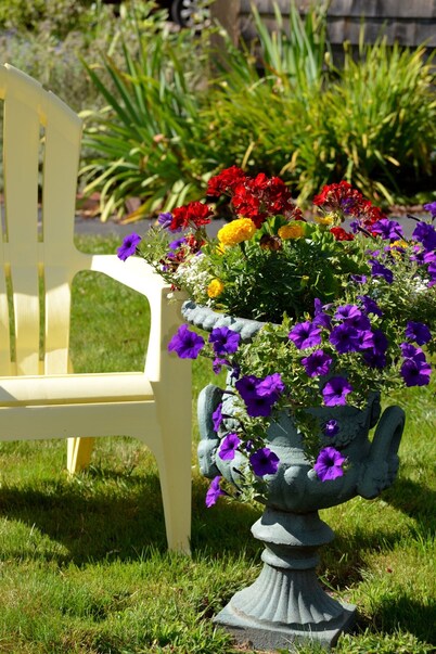 Shorelands Guest Resort and Cottages