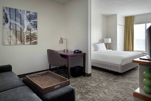 1 bedroom, desk, blackout drapes, iron/ironing board - Springhill Suites By Marriott - Danbury (Danbury)