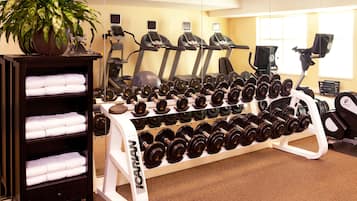 A gym with treadmills, dumbbells, and a plant.
