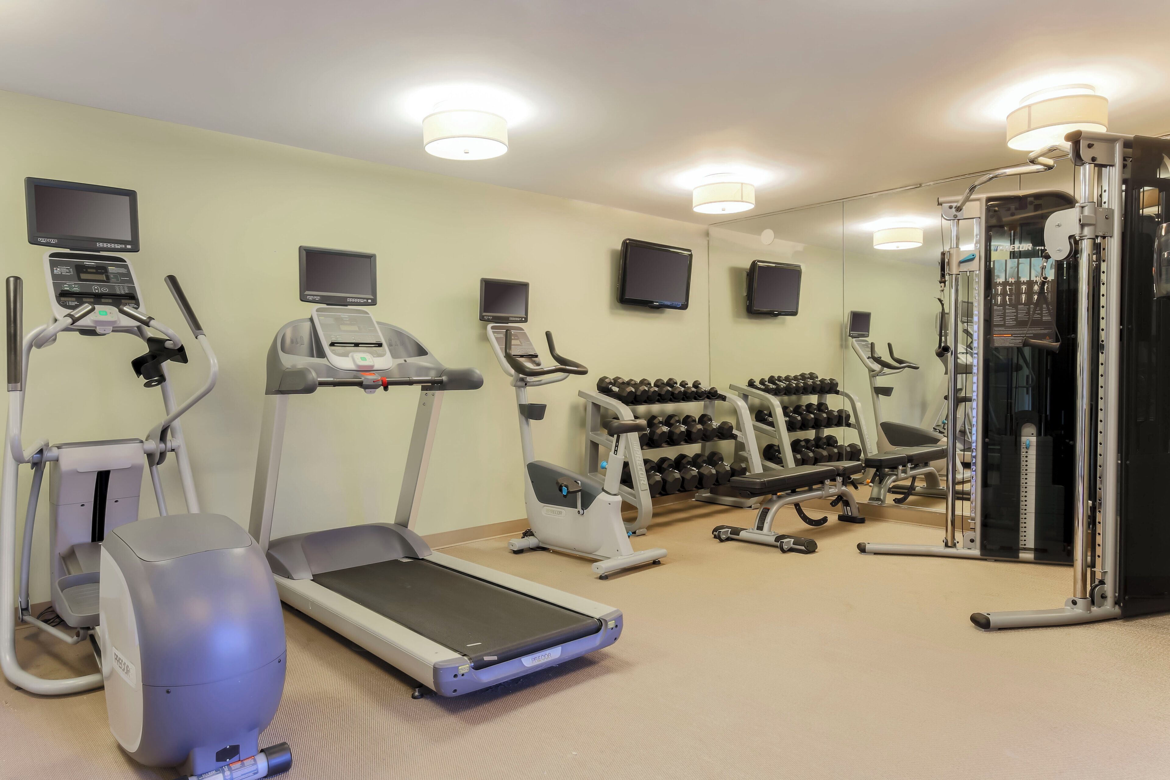 A gym with treadmills, elliptical machines, a weight bench, and a rack of dumbbells.