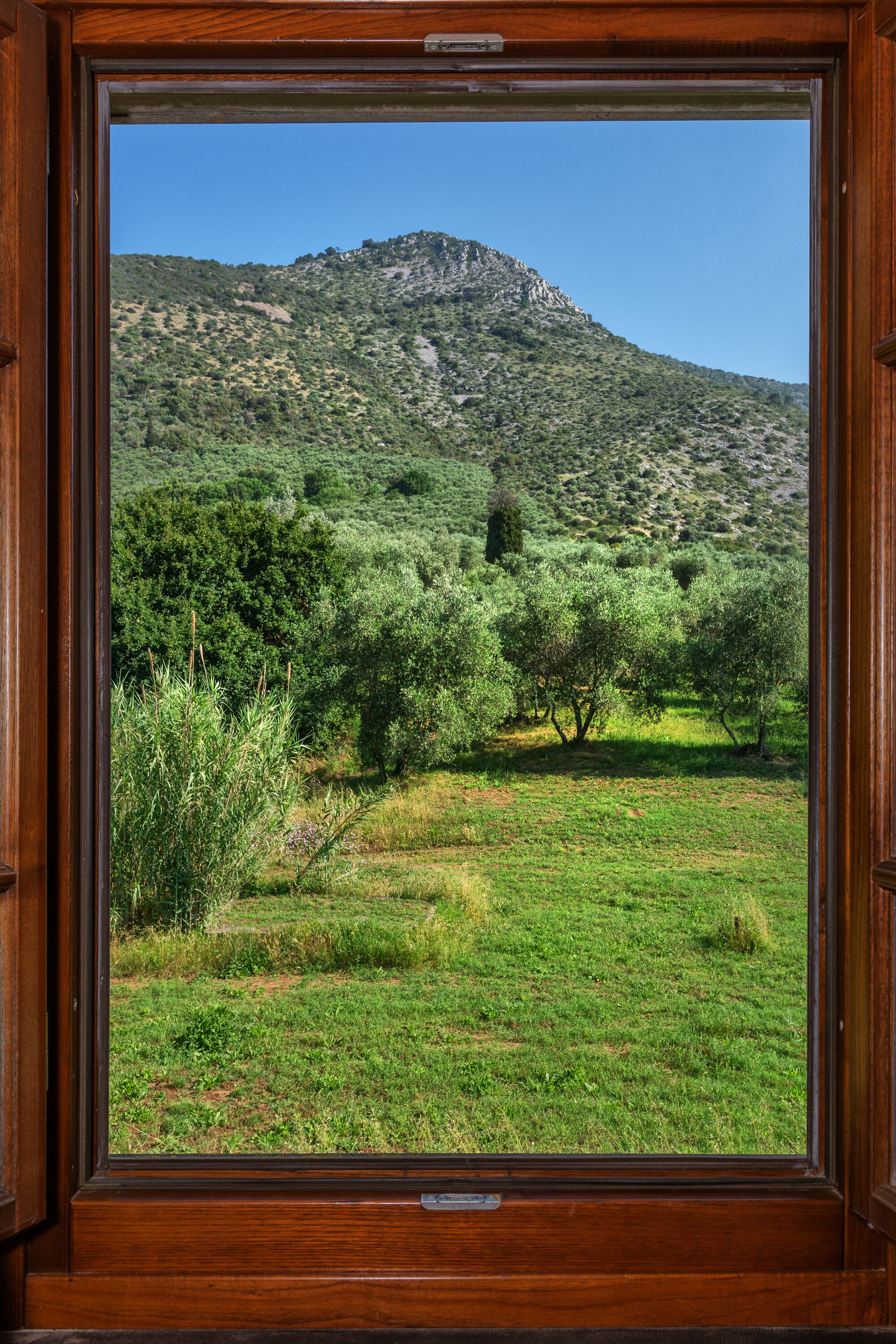 standard double or twin room, 1 bedroom | view from room