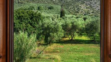 Camera Standard con letto matrimoniale o 2 letti singoli, 1 camera da letto | Vista dalla camera