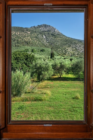 إطلالة الغرفة