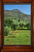 Camera Standard con letto matrimoniale o 2 letti singoli, 1 camera da letto | Vista dalla camera