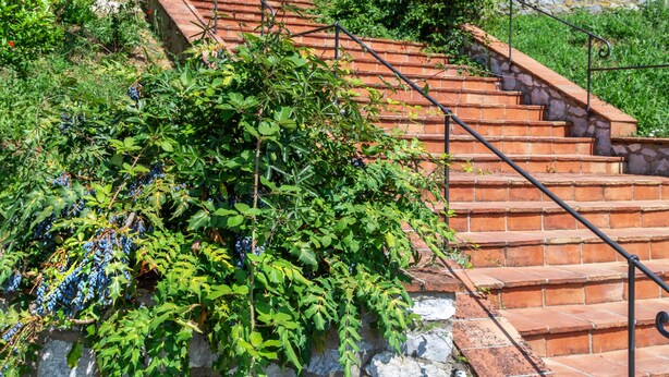 A stone building with a staircase leading up to a door. - Hotel Villa Rinascimento (Lucca)
