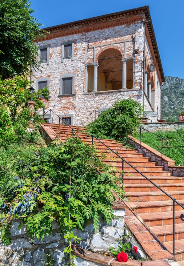 واجهة المنشأة