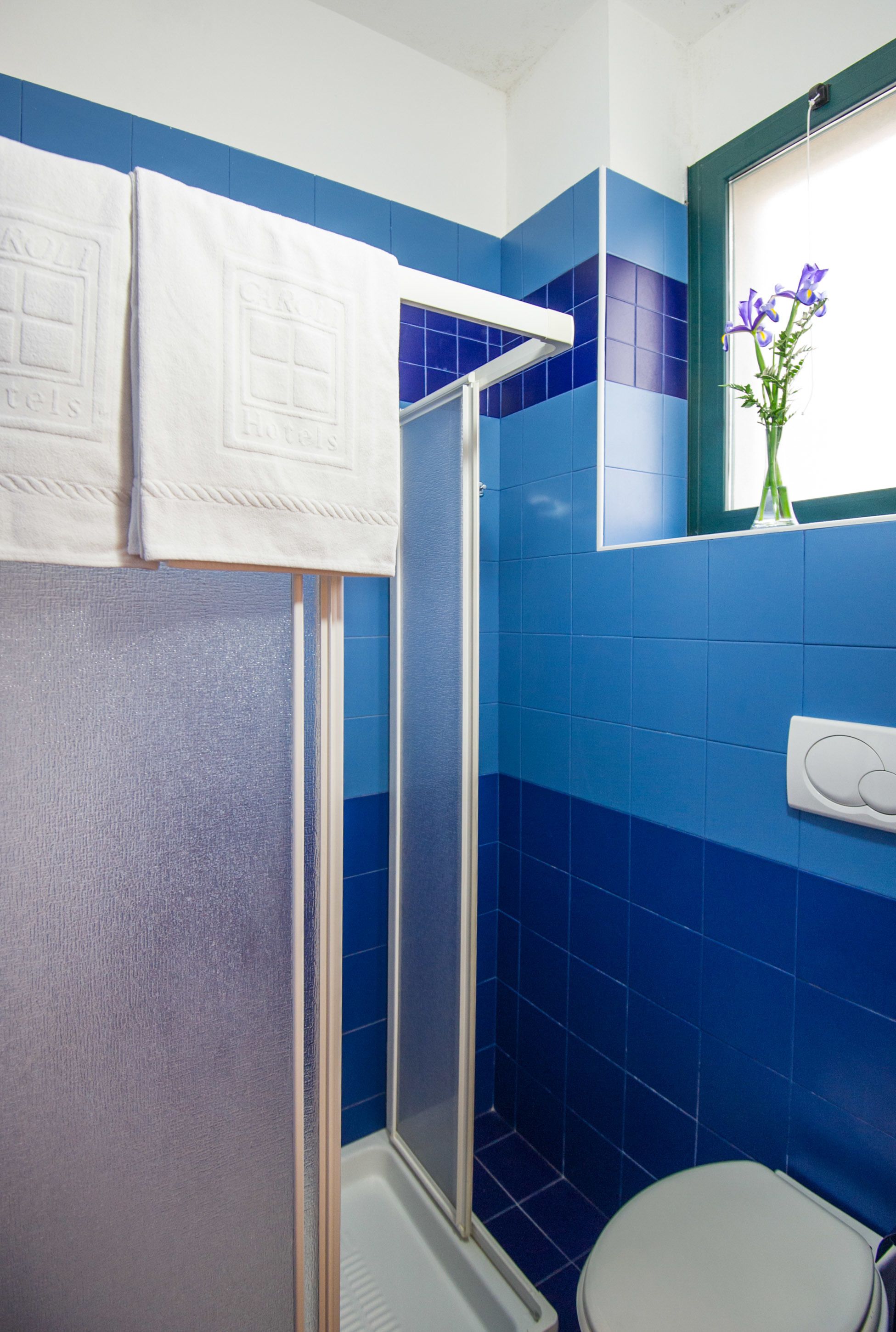 Une salle de bain avec des carreaux bleus, des toilettes blanches, un espace douche et une fenêtre agrémentée d’un vase de fleurs.