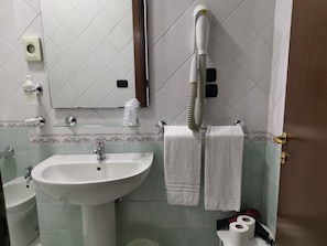 Single Room | Bathroom | Shower, hair dryer, towels