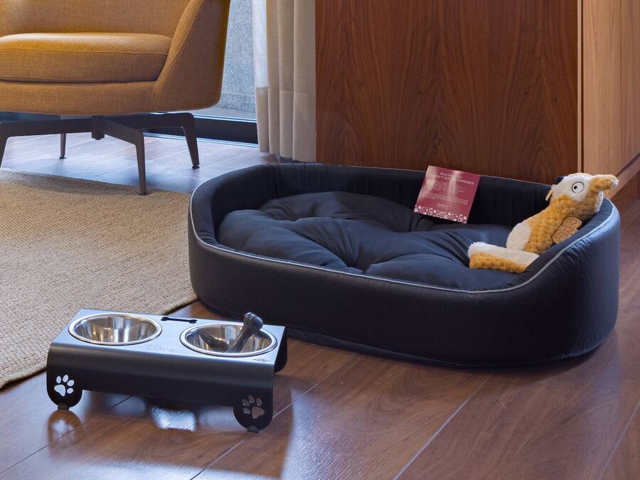 A pet bed with a toy and a pet bowl.