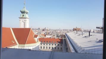 Superior appartement, 1 slaapkamer, keuken, uitzicht op stad | Kameruitzicht