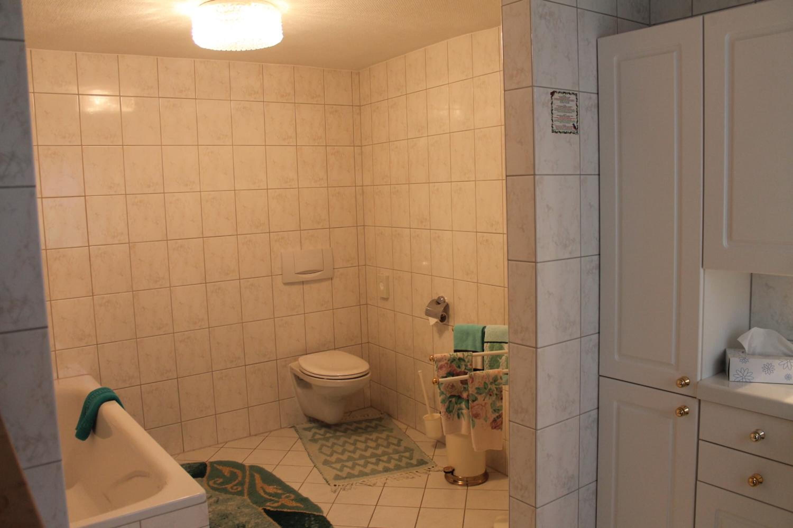combined shower/bathtub, hair dryer, towels