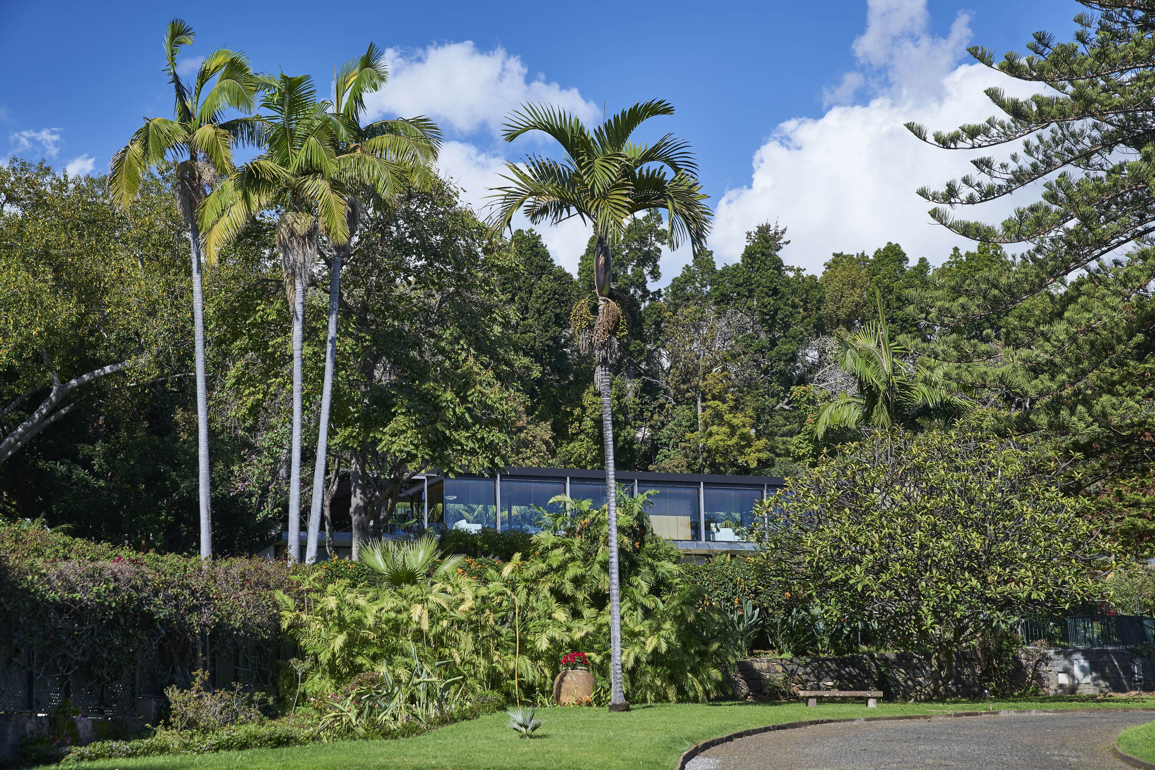 Un jardín tropical con palmeras, un banco de piedra y un edificio moderno con grandes ventanales.