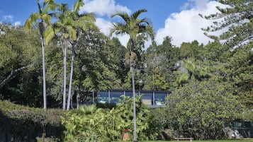 Un jardín tropical con palmeras, un banco de piedra y un edificio moderno con grandes ventanales.