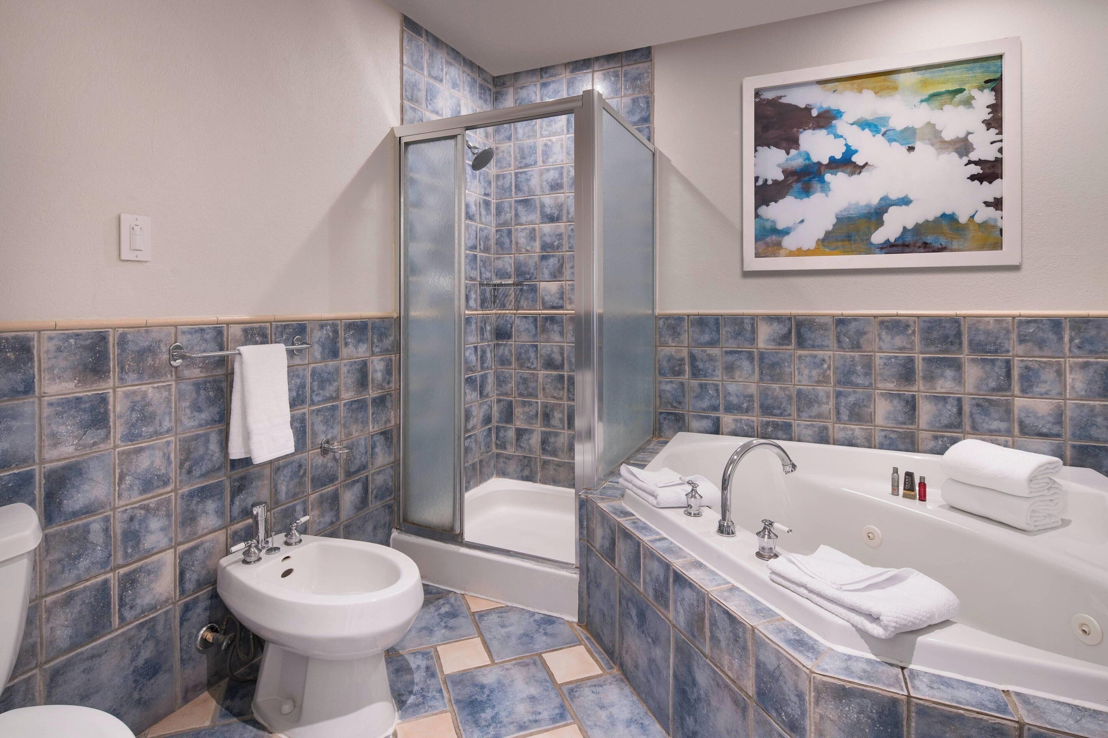 free toiletries, hair dryer, bidet, towels