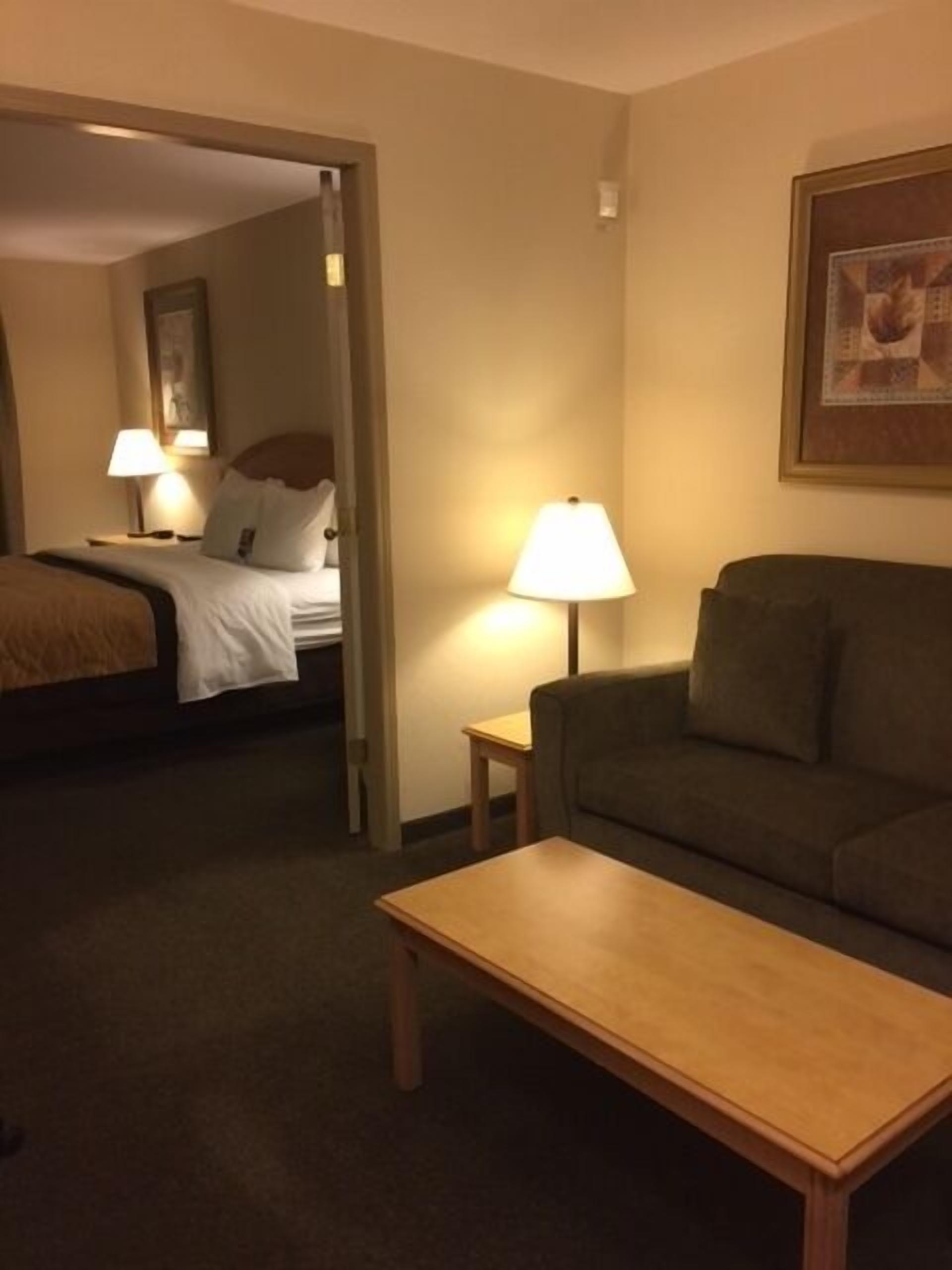 suite, 1 king bed with sofa bed, non smoking | living area | 49-inch flat-screen tv with cable channels, tv