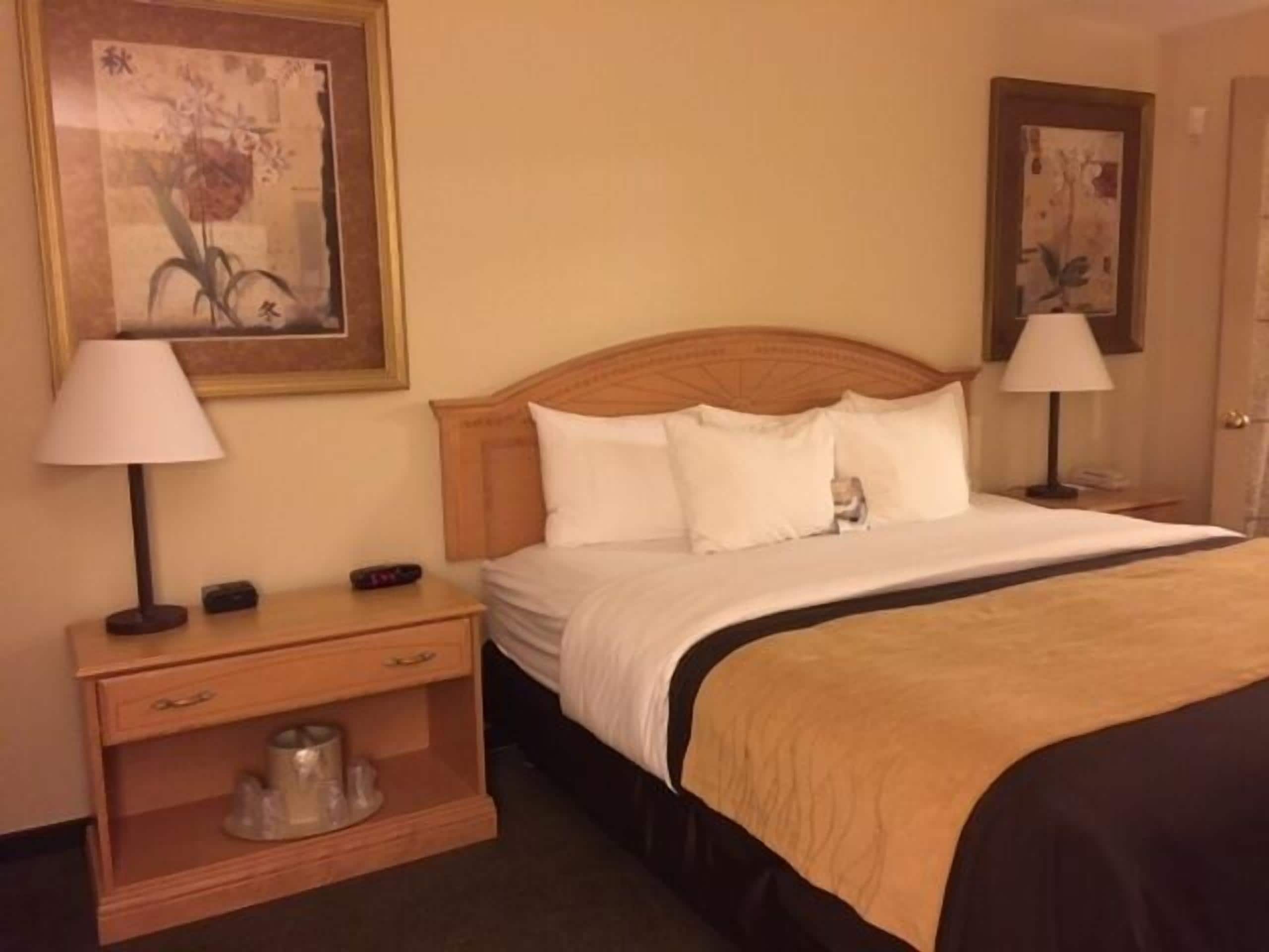 A hotel room with a wooden headboard, a bed with white bedding, a nightstand with a lamp, and a small table with a cup and saucer.